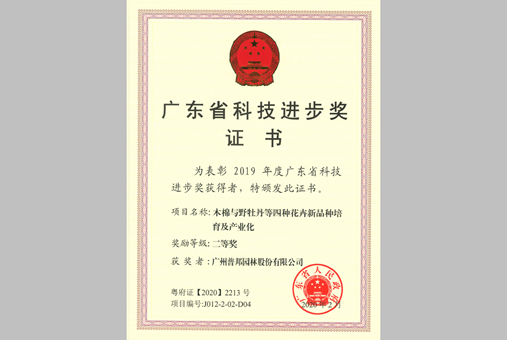 20200420100431619
